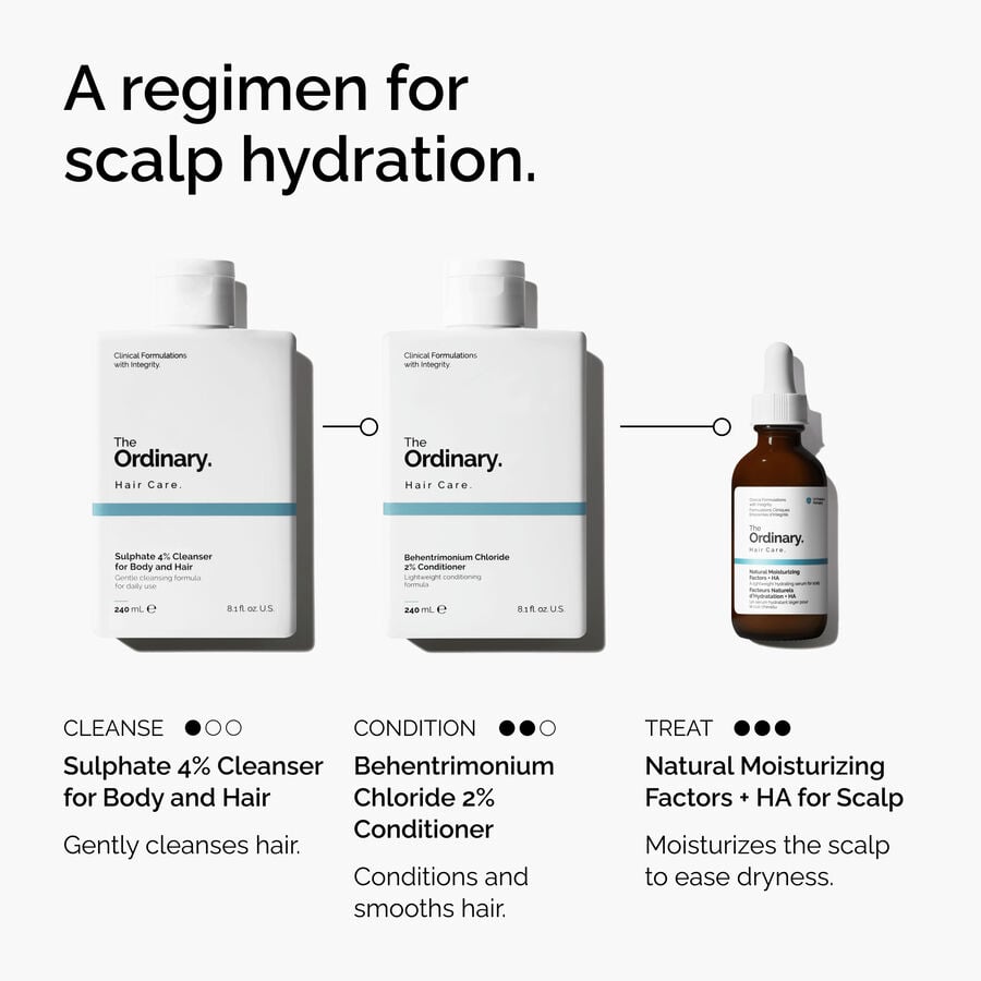natural-moisturizing-factors-ha-for-scalp-i8 FY25-D41247-ORD-Web-PDP-NMF-HA-Scalp-1x1-EN-5.jpg