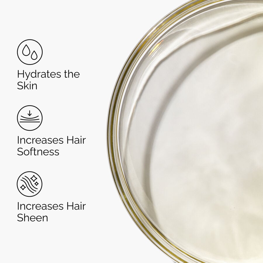 100-organic-cold-pressed-moroccan-argan-oil-o1 FY25-D41247-ORD-Web-PDP-100-Argan-Oil-1x1-EN-3.jpg