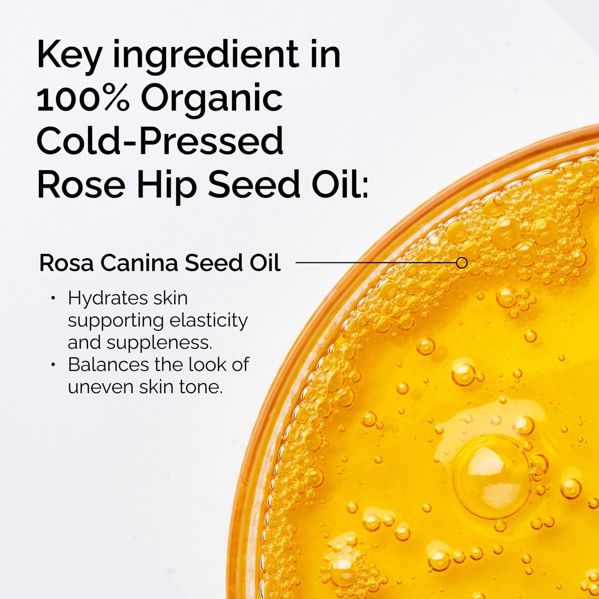 100-organic-cold-pressed-rose-hip-seed-oil-j0 FY25-D41247-ORD-Web-PDP-100-Rose-Hip-Oil-1x1-EN-2.jpg